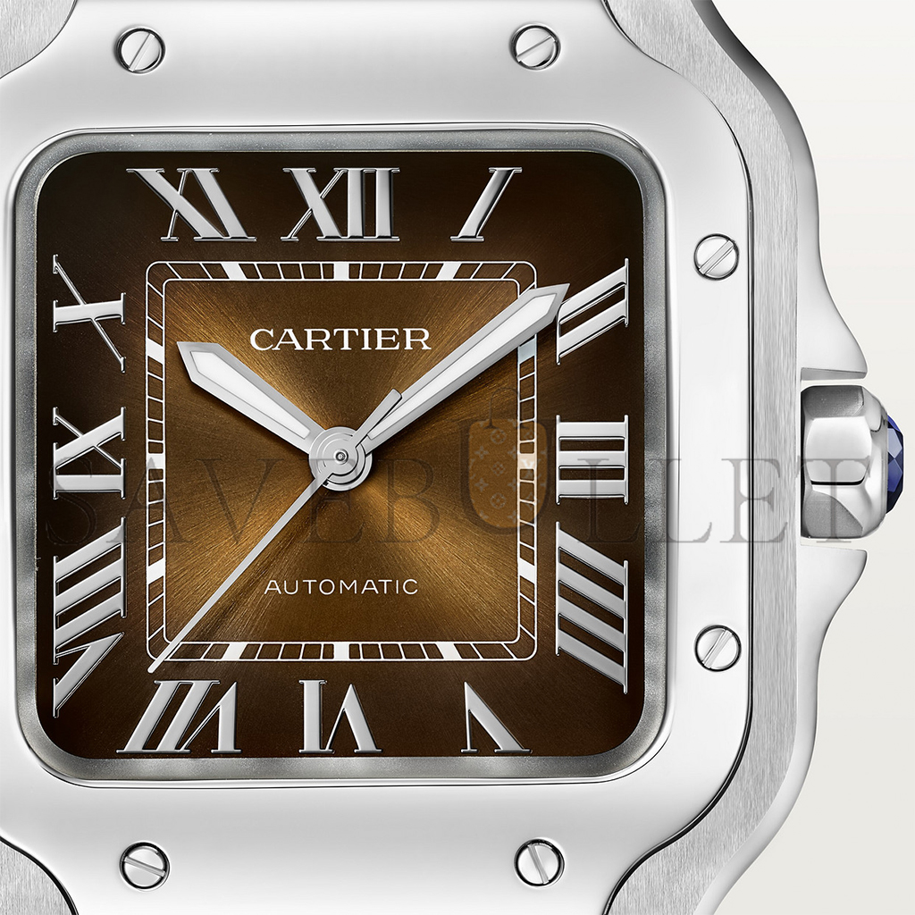 CARTIER SANTOS DE CARTIER WATCH WSSA0065 CARTIER SANTOS DE CARTIER WATCH WSSA0065